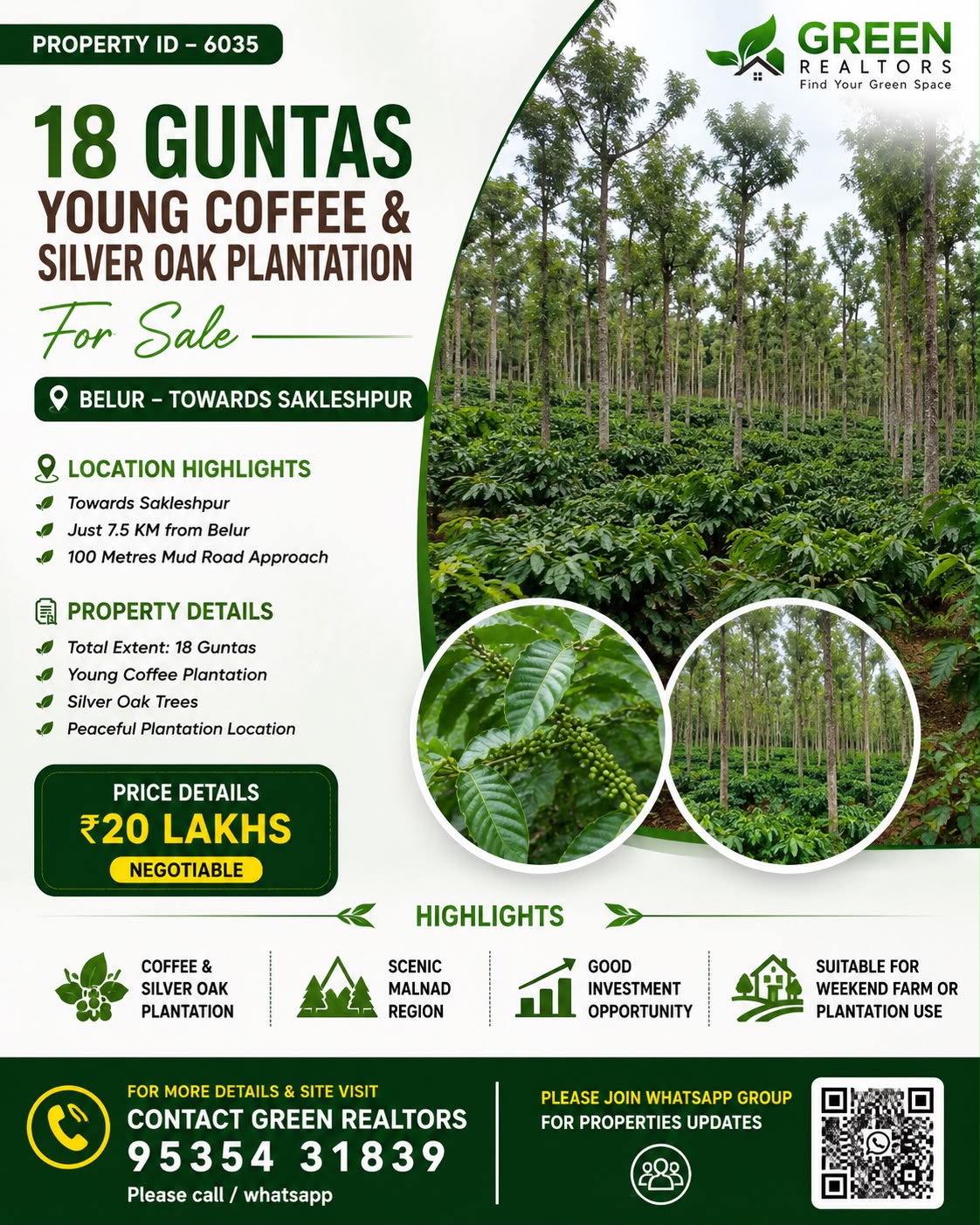 🆔 *PROPERTY ID – 6035* ☕🌿 *18 Guntas Young Coffee & Silver Oak Plantation for Sale – Belur